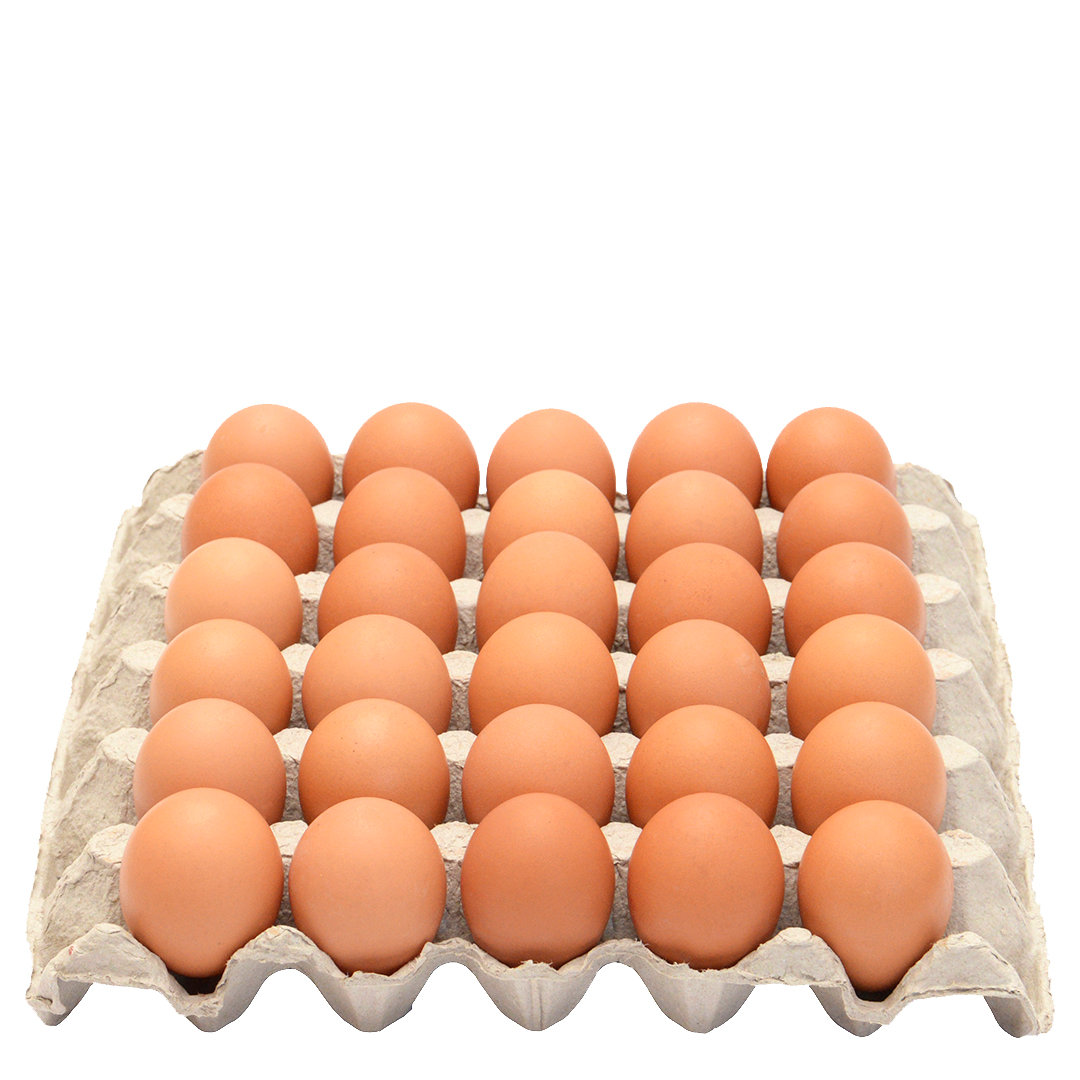 Fresh halal eggs from Paradise Halal Butchery Auckland